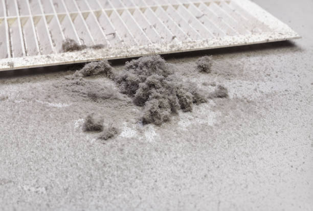 Best Emergency Air Duct Cleaning  in Alto, GA