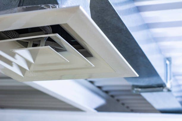 Best Professional Duct Cleaning Services  in Alto, GA