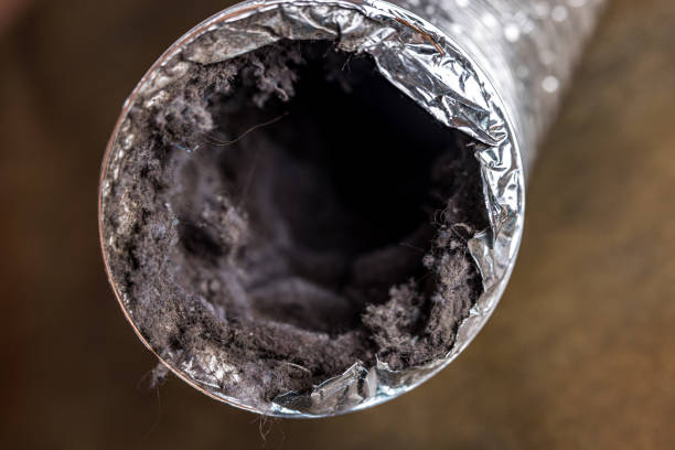 Best Local Air Duct Cleaning Services  in Alto, GA